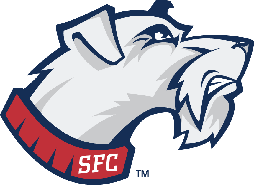 St. Francis Terriers 2001-2013 Secondary Logo iron on transfers for clothing